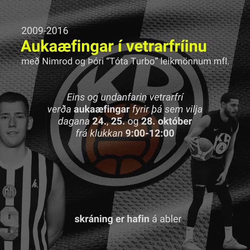 Körfuboltabúðir á Meistaravöllum í vetrarfríi grunnskólanna preview image