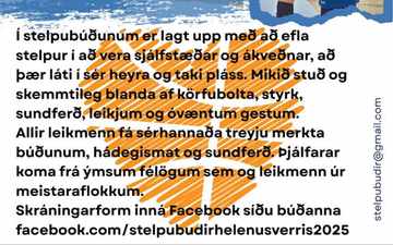 Stelpubúðir Helenu Sverris 2025 preview image