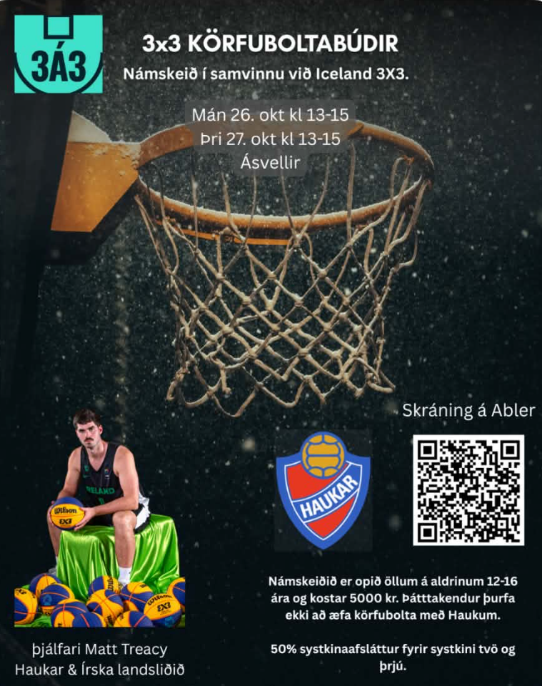 3x3 Körfuboltabúðir Hauka með Matt Treacy